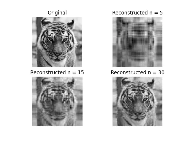 SVD Image Compression Result